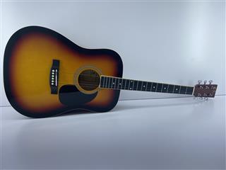 Eleca Acoustic Guitar DAG-5-SB